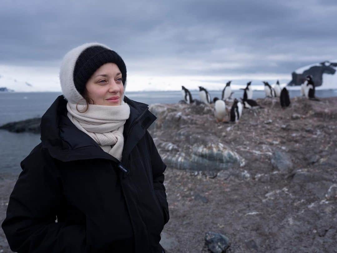 のインスタグラム：「Last part of @greenpeace mission #poletopole is Antarctica. I am part of the adventure as an observer and spoken person. What I see is fascinating and deeply moving. I will be posting here all the beauty and interesting things I witness.  if you want to know more about the purpose of the mission there is a link in my bio it is in French though but I will be posting a international link tomorrow.  L’Antarctique est la dernière phase  de la mission #poletopole menée par @greenpeace depuis un an. Je fais partie du voyage en tant que témoin et ambassadrice. Ce que j’observe est fascinant et profondément remuant. Je vais poster ici la beauté et les choses intéressantes que j’y vis. Si vous voulez en apprendre plus sur la mission un lien est dans ma bio.  @greenpeace @greenpeace_france #ProtectTheOceans #PoletoPole #ArcticSunrise #Greenpeace 📷 @abbiets」