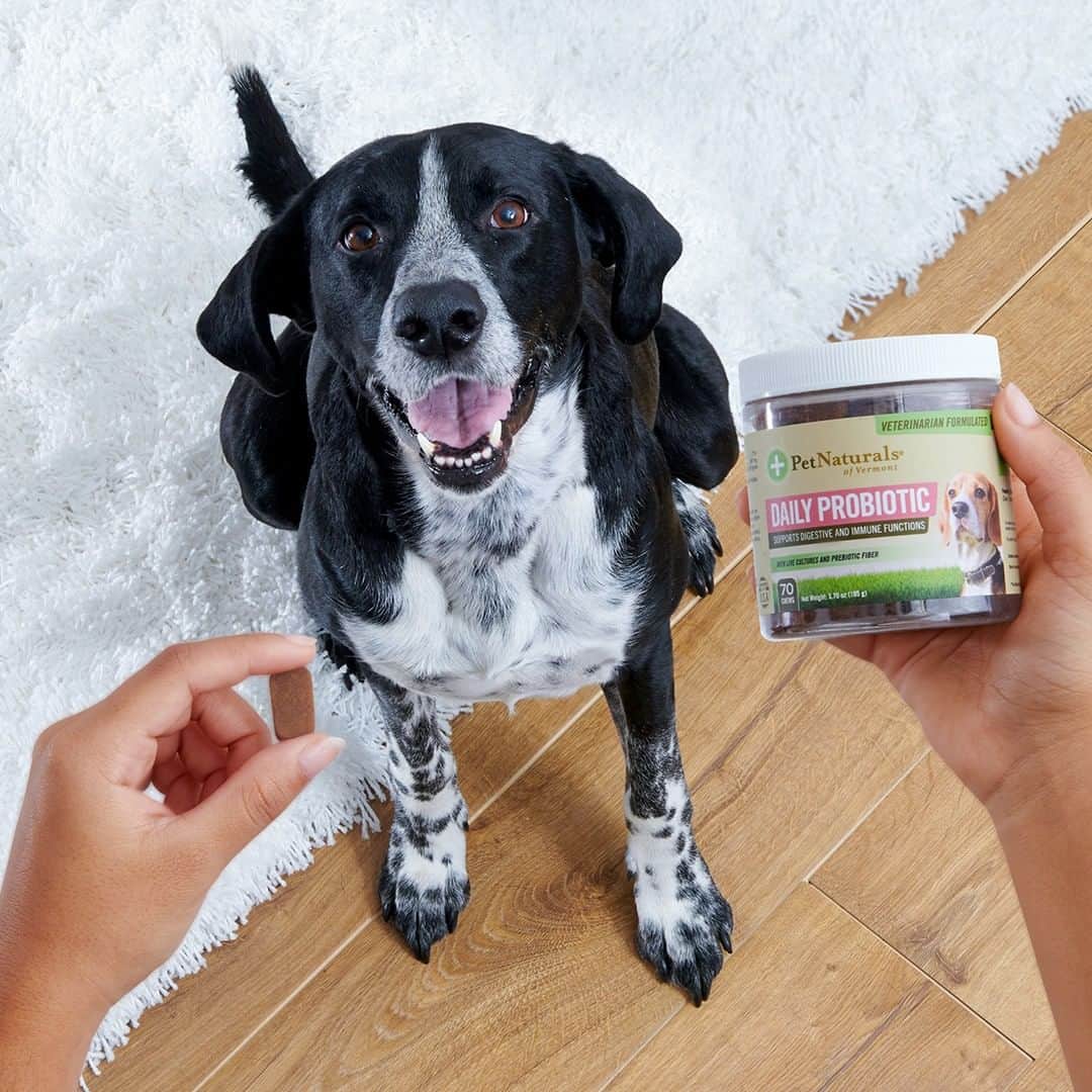 Wal-Mart Stores, Incのインスタグラム：「It’s never too late to get the ball rollin’ on your resolution to give your 🐶 the best care. #WalmartPets」