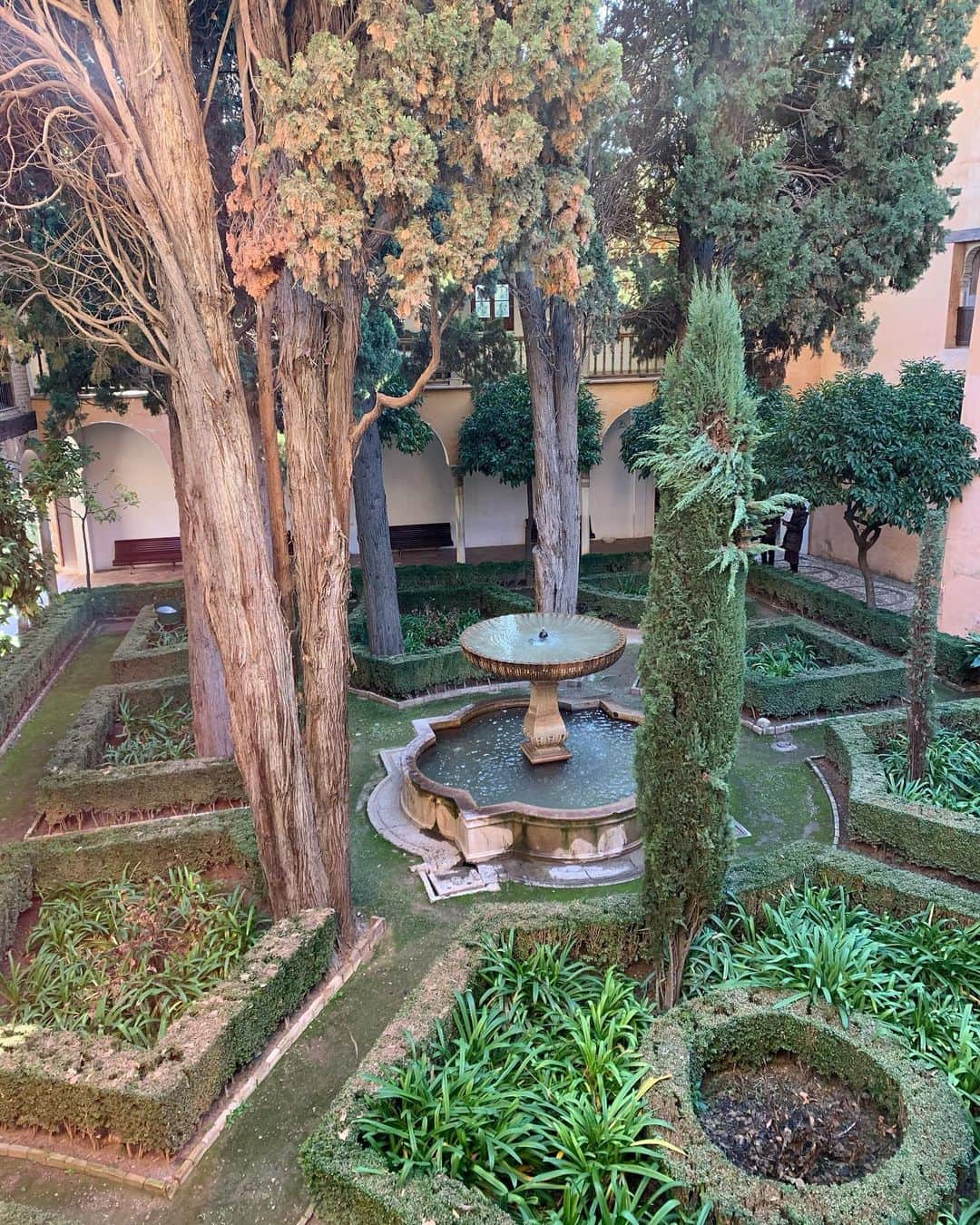 早川茉希さんのインスタグラム写真 - (早川茉希Instagram)「【🌼アルハンブラ宮殿(庭園)🌸】 ・ アルハンブラ宮殿は、その美しい庭園も有名🌿  高台にありながら水をふんだんに使っているのも特徴で、 砂漠が多いイスラム文化圏にとって、 まさに力や豊かさの象徴なのだそう✨  とにかく広い敷地内ですが、 緑に癒されながら散策しました🌼  アルハンブラ宮殿は予約必須なので 訪れる際は早めの事前予約をおすすめします😉🎫 ・ #アルハンブラ宮殿 #グラナダ観光 #スペイン旅行 #イスラム建築 #イスラム文化 #spain #granada #lovetraveling #タビジョ #旅行好きな人と繋がりたい #庭園 #お花の時期は更に綺麗かな #世界遺産 #世界の絶景」1月23日 5時49分 - maki_hayakawa