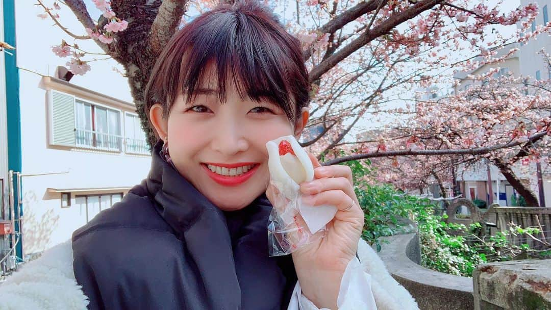 都乃のインスタグラム：「📸生いちご大福と桜とえびす顔の人←🤣🍡🍓 湯河原～熱海3泊4日の旅してきた😋🌸 熱海ではもう桜が咲いてた😳  美味しいものも食べたり、温泉には6箇所も回っちゃった😝✨ いい旅だったーっていう満足感に浸りつつ。。 東京に戻ってます🚃💨 温泉って昔から治療に使われてたんだね！ 徳川家康公も体を癒すために来てたっていう、 #熱海 の#大湯温泉 が源泉100パーセントでとっっっても良かったから、 熱海に行く機会があったら是非オススメ‼️✨🥳🎉 #女子旅 #温泉巡り #selfie #湯河原 #熱海 #japanesegirl」