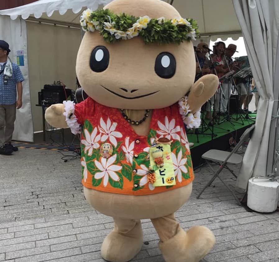 古本新乃輔さんのインスタグラム写真 - (古本新乃輔Instagram)「ってコトで、  昨日はなんと pualiliにホヌッピーが来てくれたました。  showroom配信をpualiliからという事で。  pualiliカメラでも撮ってるので、後日「しんのす家」（youtube）にもアップします。  ホヌッピーの ゆるキャラらしからぬトークが面白かったです。  また出してもらえるみたいなので、乞うご期待。  2枚目以降は2017年のウクピクにて。 ホヌッピー撮らせてもらったヤツです。  #ホヌッピー #ハワイ応援キャラクター #宝探し #トレジャーハート #古本新乃輔　#pualili」1月23日 17時22分 - shinnosukefurumoto
