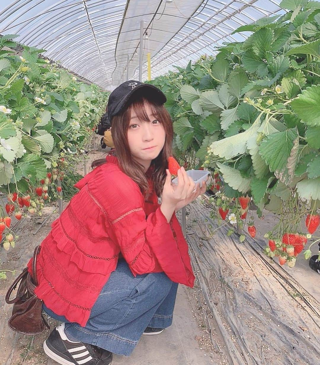 伊織もえさんのインスタグラム写真 - (伊織もえInstagram)「画像は去年のいちご狩りしたやつ！ また行きたいなぁ〜‪(ᐡɞ̴̶̷ ̫ ɞ̴̶̷ᐡ)」1月23日 17時23分 - moe_five