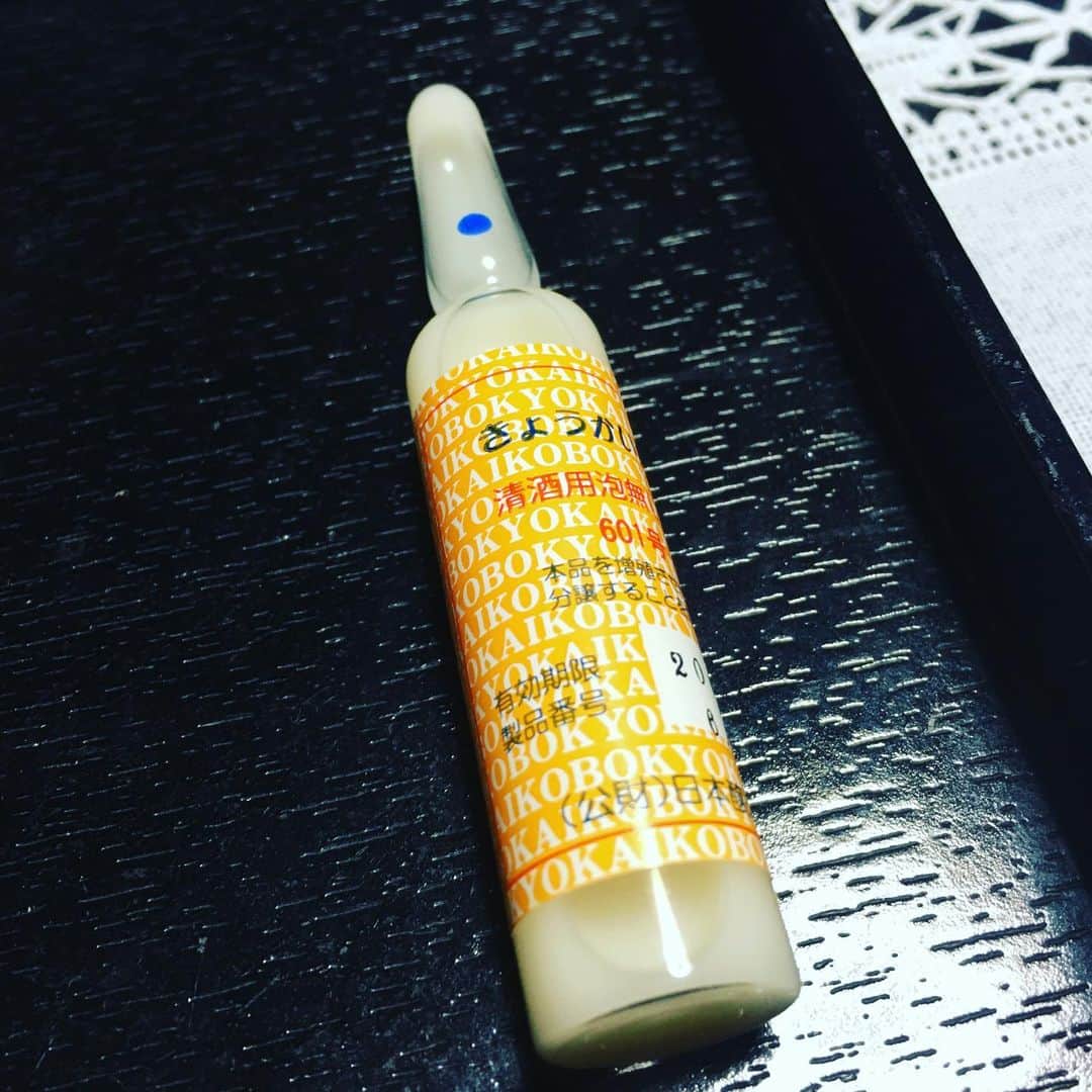 宮田麺児のインスタグラム：「きょうかい酵母 601 6号酵母  #酵母#6号#6号酵母#日本酒#糖化#発酵」