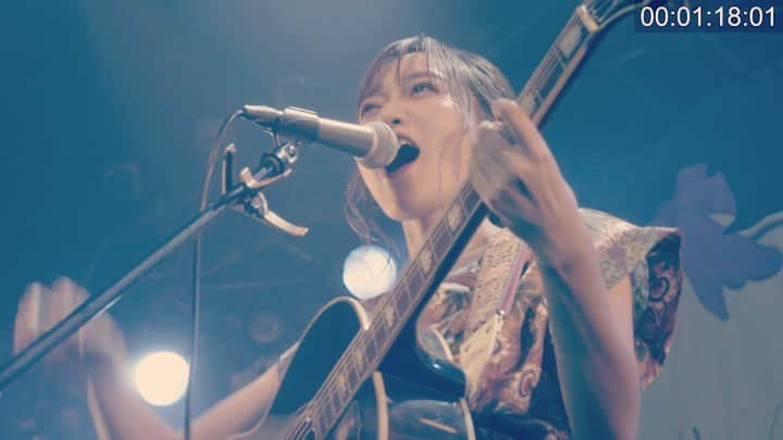 辻詩音のインスタグラム：「な！なんと！辻詩音初のライブDVD発売が決まりました〜👸 いま、HP限定で2/5まで先行予約中なので(特典は直筆サインと、しおり！) まだ色々と編集前の動画なんだけど、嬉しくて勝手にダイジェスト作っちゃった👸(右に分数とか入ってるし) なんかもうファーストDVDって響きがいいの、最高フレッシュ🍋 生きていたら外に出るのもしんどいくらいの日ってあるじゃない。そんな日は、お布団の中でこれを観てほしいなって思う。 もう予約してくれてるみんな本当にありがとう！ みんなにお届けできるのは3月中旬頃からだけど、ひとつひとつ愛を込めてサインしてお届けするのでまっててねー！！ #辻詩音 #DVD #singersongwriter #music #live #渋谷duo #弾き語り」