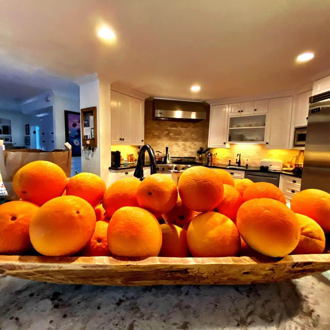グレッグ・グランバーグさんのインスタグラム写真 - (グレッグ・グランバーグInstagram)「So sweet of my neighbors to unknowingly allow me to lean over onto their property and steal these delicious oranges off of their beautiful fruit tree.  Thanks Bruce. Thanks Barbara. I hope they’re not on IG.」1月23日 10時04分 - greggrunberg