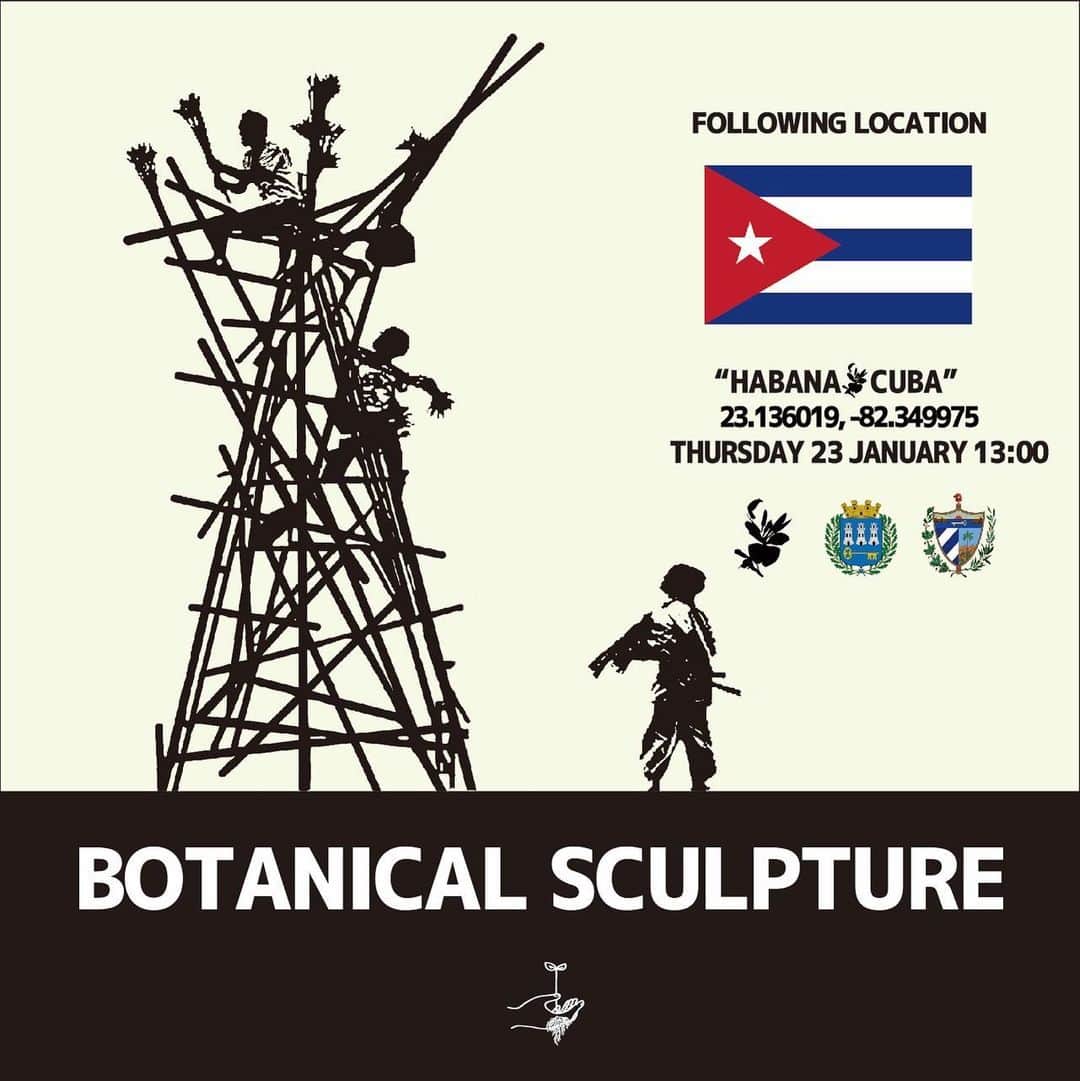 椎木俊介のインスタグラム：「Botanical Sculpture in Cuba  Date: January 23 Thursday, 2020 Location: Plaza Vieja 23.136019,-82.349975 *Please insert this numbers to your Google map.  @azumamakoto @amkk_project @shiinokishunsuke  #azumamakoto #makotoazuma #shiinokishunsuke #amkk #amkkproject #flowers #flowerart #botanicalsculpture #東信 #東信花樹研究所 #cuba #HABANA #PlazaVieja」