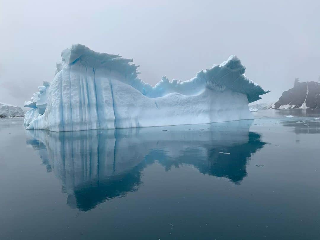 のインスタグラム：「Mind blowing  @greenpeace @greenpeace_france #ProtectTheOceans #PoletoPole #ArcticSunrise #Greenpeace 📸 @marioncotillard」
