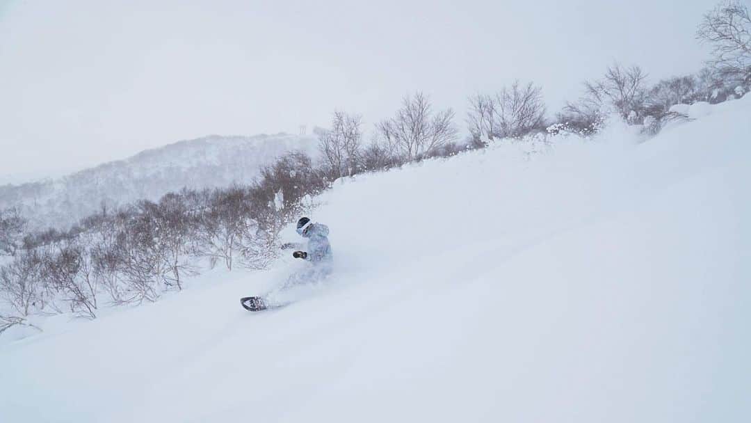 藤森由香さんのインスタグラム写真 - (藤森由香Instagram)「Short clip from yesterday’s fun shred in Niseko. Finally we got Japow as usual!  Super fun snowboarding with @13k08 @tsutomunakata @bikke215 and えっちゃん #niseko#japow#マッシュ畑#snowboarding#特訓」1月23日 11時20分 - yukafujiforest