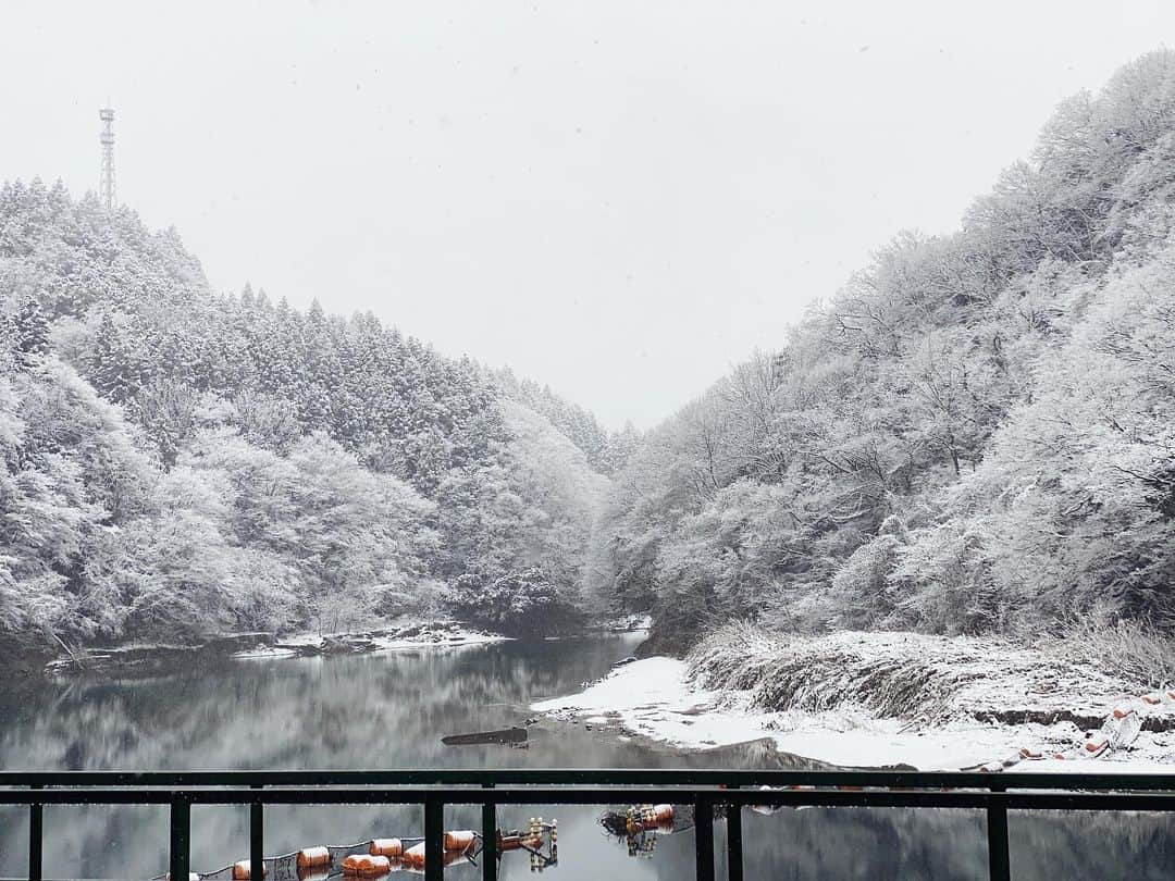階上実穂さんのインスタグラム写真 - (階上実穂Instagram)「この前の𝙲𝚊𝚖𝚙は初雪でした❄️ 来週も雪みたいだから楽しみ♩¨̮⑅*雪だるま作れるかなぁ☃️ これから𝙲𝚊𝚖𝚙写メをアップしまーす🤘🔥 #初雪 #相模原 #キャンプ #アウトドア #snow #outdoor #camp #休日の過ごし方」1月23日 11時45分 - miho_ishigami