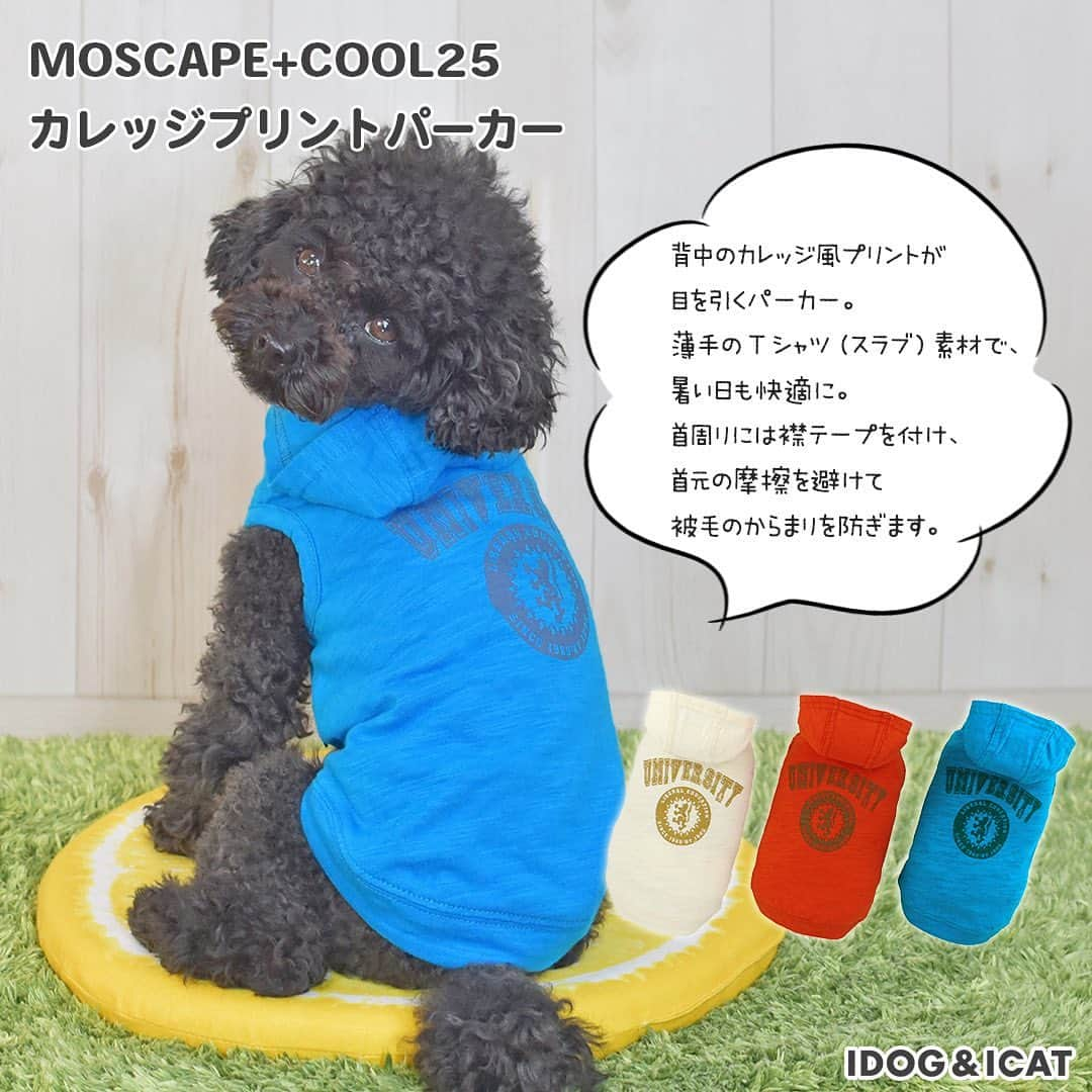 iDog&iCatさんのインスタグラム写真 - (iDog&iCatInstagram)「★2020新作春夏ウェア販売開始★  IDOG＆ICATだけの春夏にピッタリの新提案！ W機能ウェアで「着るだけで快適」  今年は防蚊・防虫の「moscape」に、25℃キープ機能の「COOL25」が加わりました！  詳しくは↓ https://item.rakuten.co.jp/idog/c/0000001143/  第一弾は8型UP♪  流行のアースカラーを取り入れたシンプルなタンクや、アウトドア風デザインの「EQUIPMENT 」シリーズなど、新作ウェアを順次アップ予定です✨ https://item.rakuten.co.jp/idog/c/0000001143/  #idogicat #idog #icat #犬の服idog #新作ペットウェア #春夏 #春夏ウェア #ペットウェア #新作ペットウェア #うちの子優勝」1月23日 11時54分 - idogicat