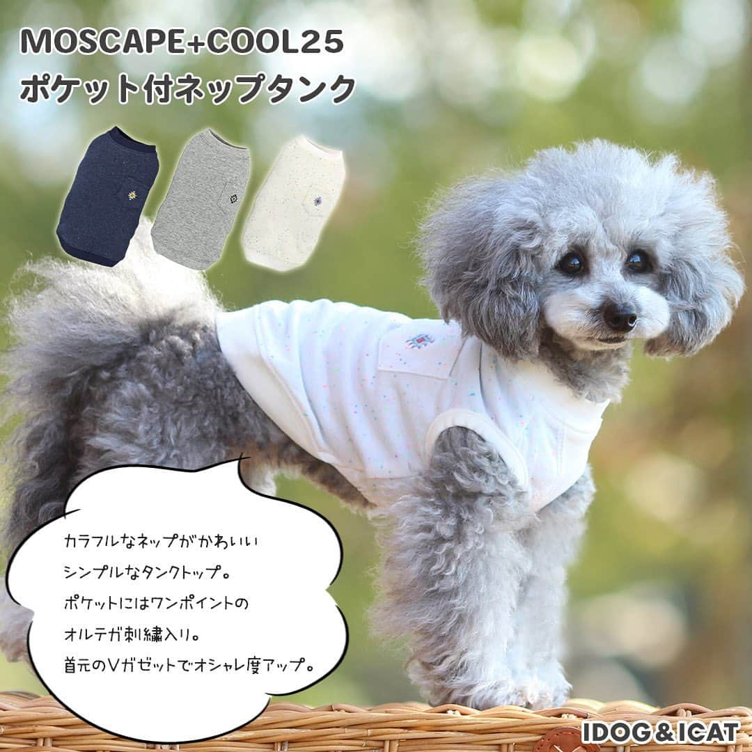 iDog&iCatさんのインスタグラム写真 - (iDog&iCatInstagram)「★2020新作春夏ウェア販売開始★  IDOG＆ICATだけの春夏にピッタリの新提案！ W機能ウェアで「着るだけで快適」  今年は防蚊・防虫の「moscape」に、25℃キープ機能の「COOL25」が加わりました！  詳しくは↓ https://item.rakuten.co.jp/idog/c/0000001143/  第一弾は8型UP♪  流行のアースカラーを取り入れたシンプルなタンクや、アウトドア風デザインの「EQUIPMENT 」シリーズなど、新作ウェアを順次アップ予定です✨ https://item.rakuten.co.jp/idog/c/0000001143/  #idogicat #idog #icat #犬の服idog #新作ペットウェア #春夏 #春夏ウェア #ペットウェア #新作ペットウェア #うちの子優勝」1月23日 11時54分 - idogicat