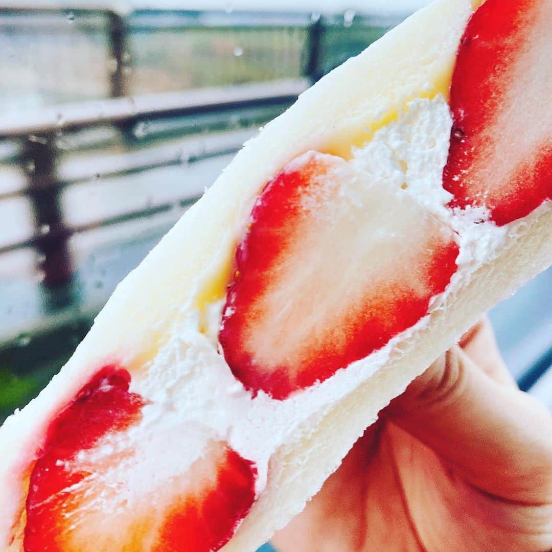 森彩乃さんのインスタグラム写真 - (森彩乃Instagram)「1年に1度くらいの頻度で食べたくなる🍓」1月23日 12時21分 - moriayano1119