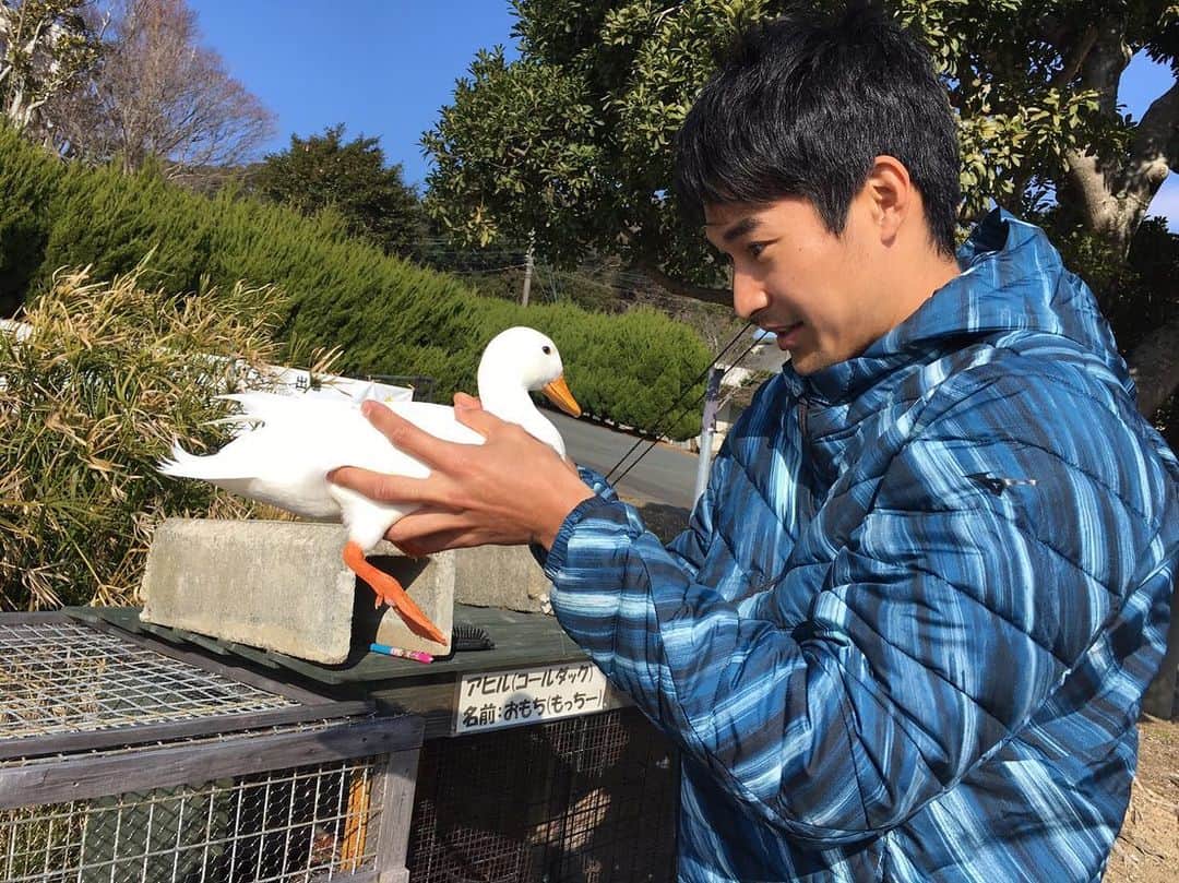 飯塚翔太のインスタグラム：「年末ぶりに再開🦆 欲しくなってきた笑 #コールダック」