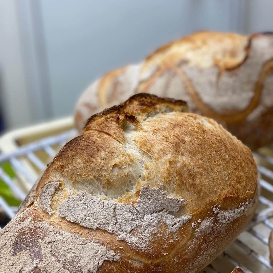 魔女菅原のグルメインスタ