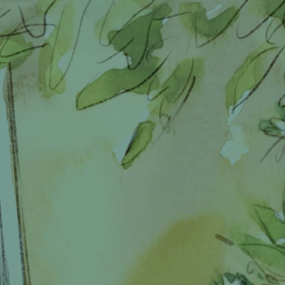 botanist officialのインスタグラム