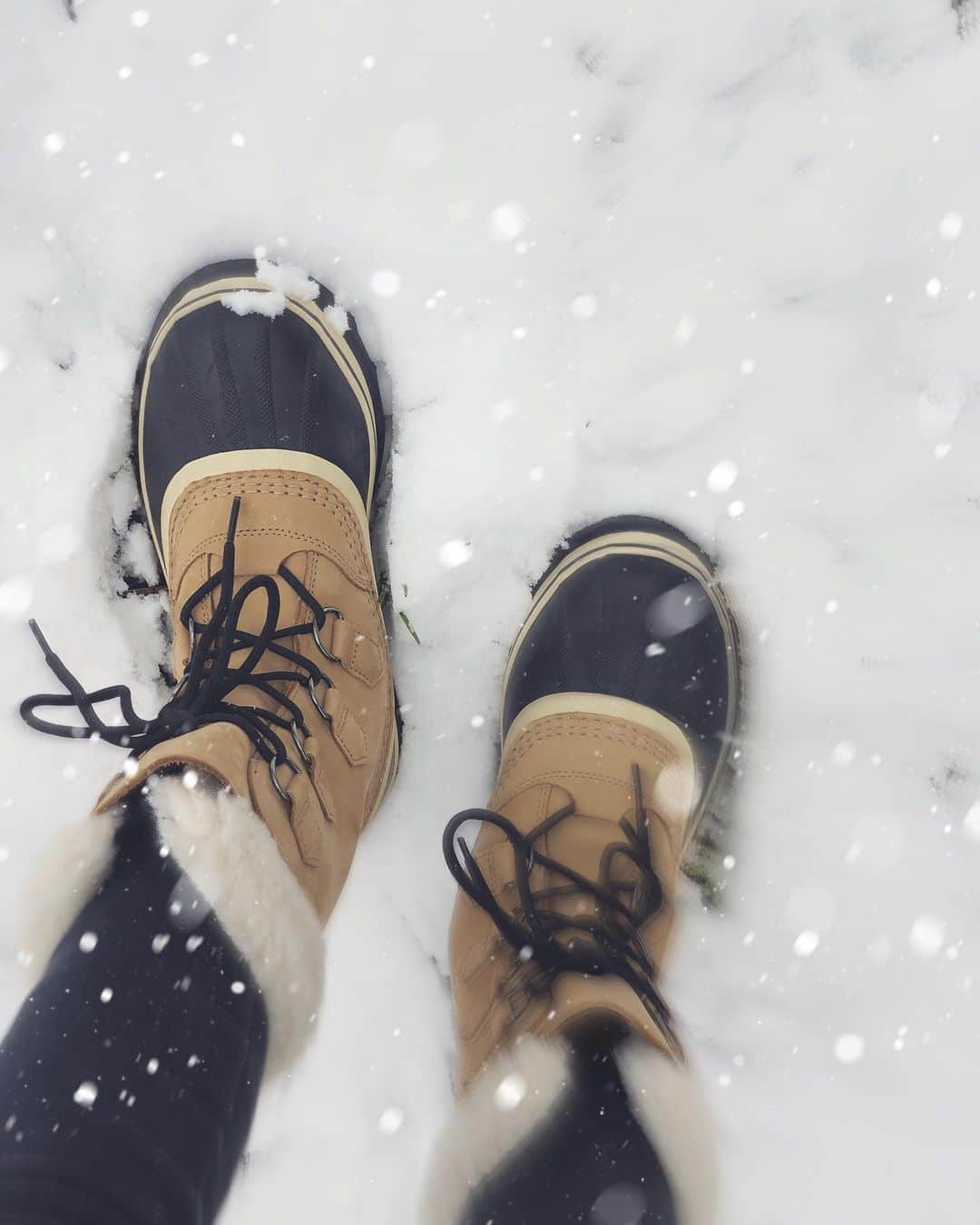 階上実穂さんのインスタグラム写真 - (階上実穂Instagram)「おさるからのお年玉で買った𝚂𝙾𝚁𝙴𝙻🙈🧡 #outdoor #boots #sorel #ソレル #ソレルブーツ #アウトドア #キャンプ #初雪 #アウトドアコーデ #アウトドアファッション」1月23日 13時45分 - miho_ishigami