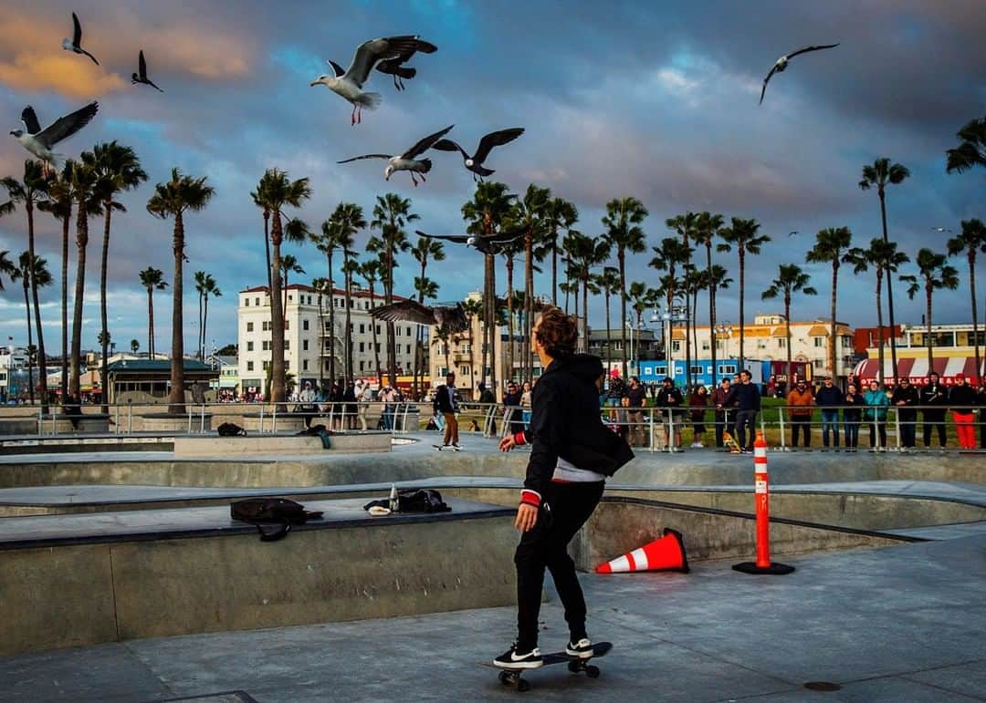 National Geographic Travelさんのインスタグラム写真 - (National Geographic TravelInstagram)「Photo by @dina_litovsky | The scene at Venice Beach, Los Angeles, is a kaleidoscope of colors at sunset. On this late afternoon, seagulls spotted food left in the open and descended on the Venice Skate Park, eventually leaving with the bounty.  For more images, follow me @dina_litovsky. #onassignment」1月23日 14時10分 - natgeotravel