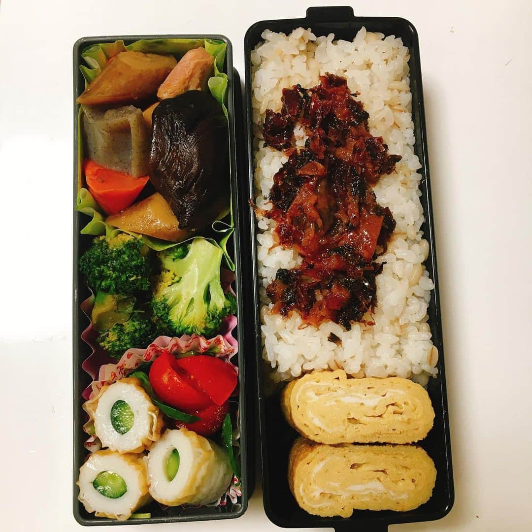 水野愛日さんのインスタグラム写真 - (水野愛日Instagram)「最近のお弁当🍱😋 お弁当箱が一種類増えたのでパターンが増えました！ #まなびごはん #べんとう #お弁当 #お弁当記録 #手作り弁当 #女子弁当 #ランチボックス #ワンパターン弁当 #お弁当女子 #栄養重視 #サラダ弁当 #冷凍つくりおき #つめるだけ弁当」1月23日 14時44分 - mizunomanabi