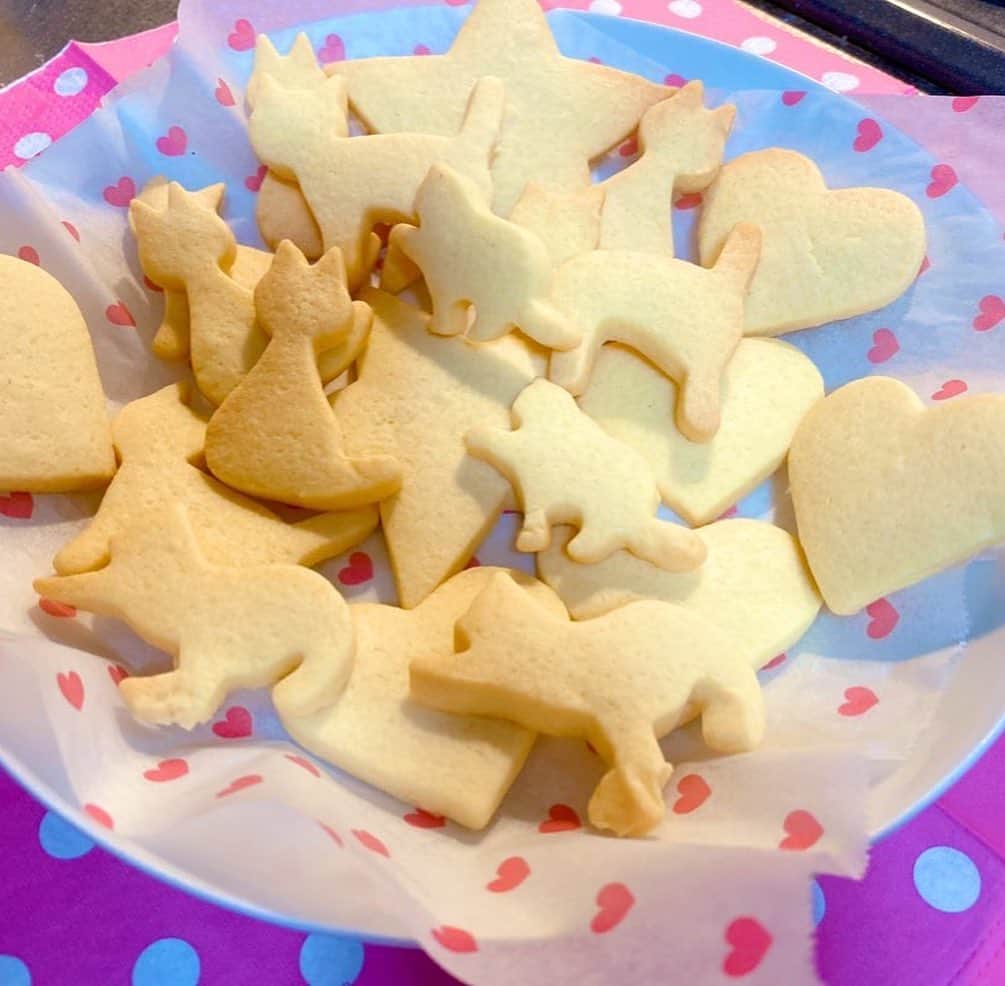 村上りいなさんのインスタグラム写真 - (村上りいなInstagram)「I made cookies and Florentins‼︎🌟 It's so delicious.💞🍪 #cooking #food #cookie #delicious #florentin #お菓子作り #クッキー作り #フロランタン作り #sweets」1月23日 15時43分 - riina_murakami