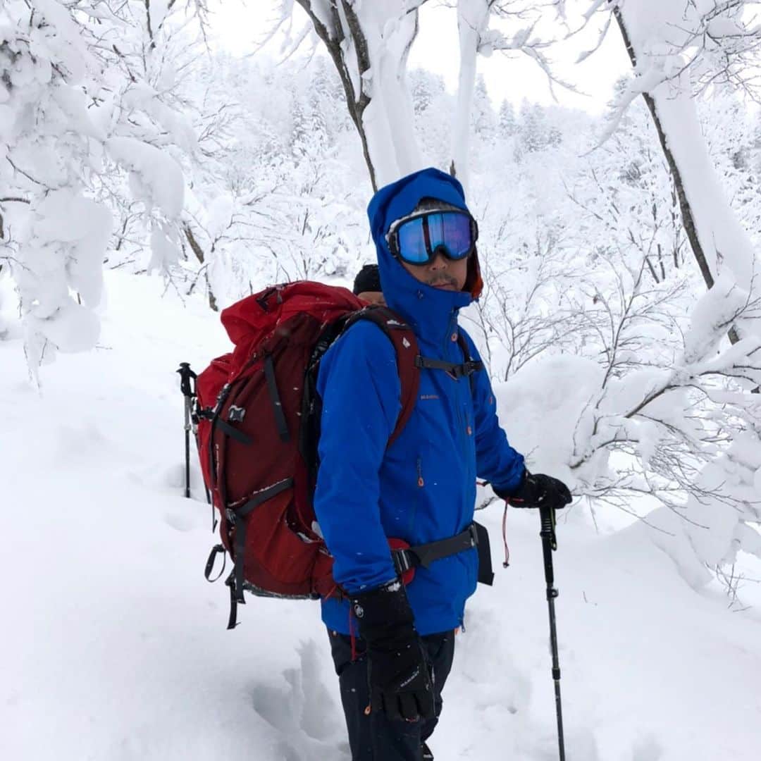 東野幸治さんのインスタグラム写真 - (東野幸治Instagram)「冬の八甲田山を歩きました。 ２枚目の写真はコアラのマーチではありません。」1月24日 2時59分 - higashinodesu
