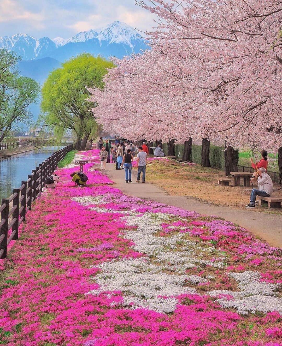 Earth Picsさんのインスタグラム写真 - (Earth PicsInstagram)「Spring in Japan 🌸🌸🌸 by @criss1016」1月24日 2時28分 - earthpix