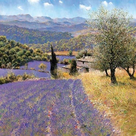 ジャマンピュエッシュのインスタグラム：「Beautiful landscapes of Provence inspired Jamin Puech SS20 collection.」
