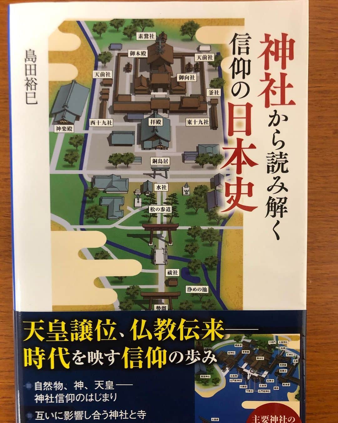 のインスタグラム：「. #神社から読み解く信仰の日本史  #島田裕巳 著  何気に参拝する神社  勉強になります  #井林ふらり #井林読書」