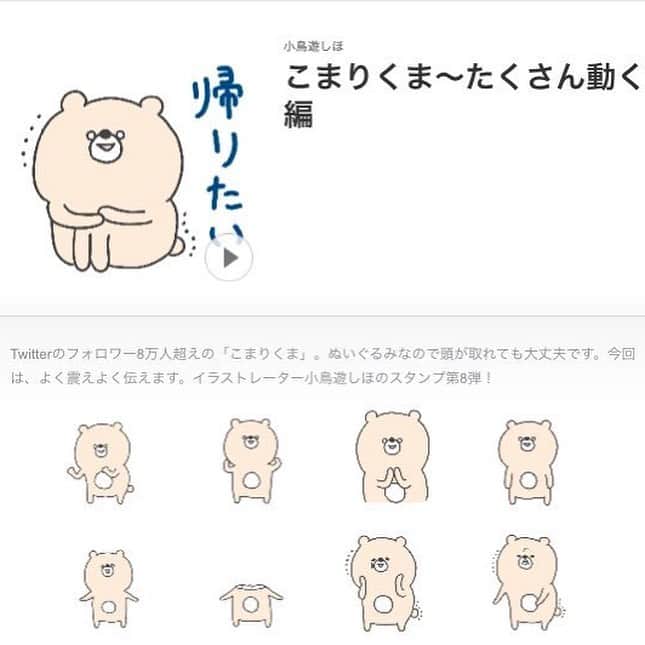 小鳥遊しほのインスタグラム：「新作スタンプでました！！！めっちゃ動きます。3枚目みてください頭取れます投げます震えます。 . 今日の昼間は35位でした。クリエイターズスタンプはおもしろい。みんな作ってみたらいい。 . 「こまりくま」でスタンプショップで検索してもらえたらすぐ出ます。URLはあとでストーリーに載せるので買って使ってもらえたらうれしい限りです。 . #こまりくま #LINEスタンプ #illustration #イラスト #イラストレーター #発売」
