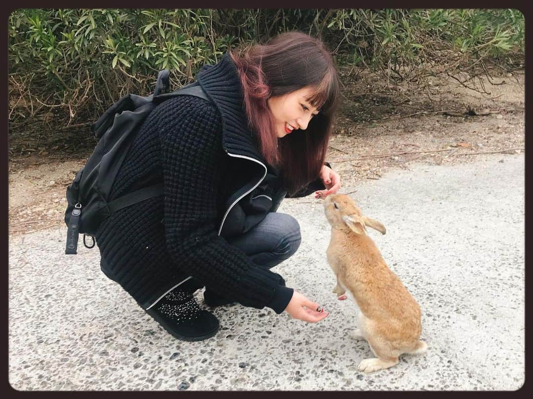 知華さんのインスタグラム写真 - (知華Instagram)「2020.01.23 親族へ会いに広島県へ。 そして大久野島へ。 ウサギ島、毒ガス島と呼ばれている孤島です。 フェリーから降りてウサギ達のお出迎え（本当に！！） 何処へ行ってもウサギ🐰兔🐇うさぎ🐰🐇🐰🐇🐰etc. （と、同時に糞だらけでもある が、全く気にならない） とにかく可愛いもふもふの天国。  ウサギたちは皆、 丸々と肥っていて 沢山の人に愛され可愛いがられてることも伝わり 口角が上がりっぱなしでした🤗 （ウサギと接するにあたり、いくつか注意はあります）  仕事帰りに向かって 帰りもそのまま仕事と、 弾丸でしたが 癒されて元気になりました。  #ウサギ #rabbit  #rabbitisland  #ウサギ島 #🐰 #🐇 #広島 #hiroshima  #japan  #animal #animalmovie  #もふもふ #もふもふ天国  #大久野島  #大久野島のうさぎさん  #ウサギ🐰 #うさぎ動画 #毒ガス島 #竹原市  ただ、毒ガス島と呼ばれてるだけあって 防空壕や毒ガスの資料館等もあり この世の惨さも痛感します。」1月23日 18時32分 - tomoca1204