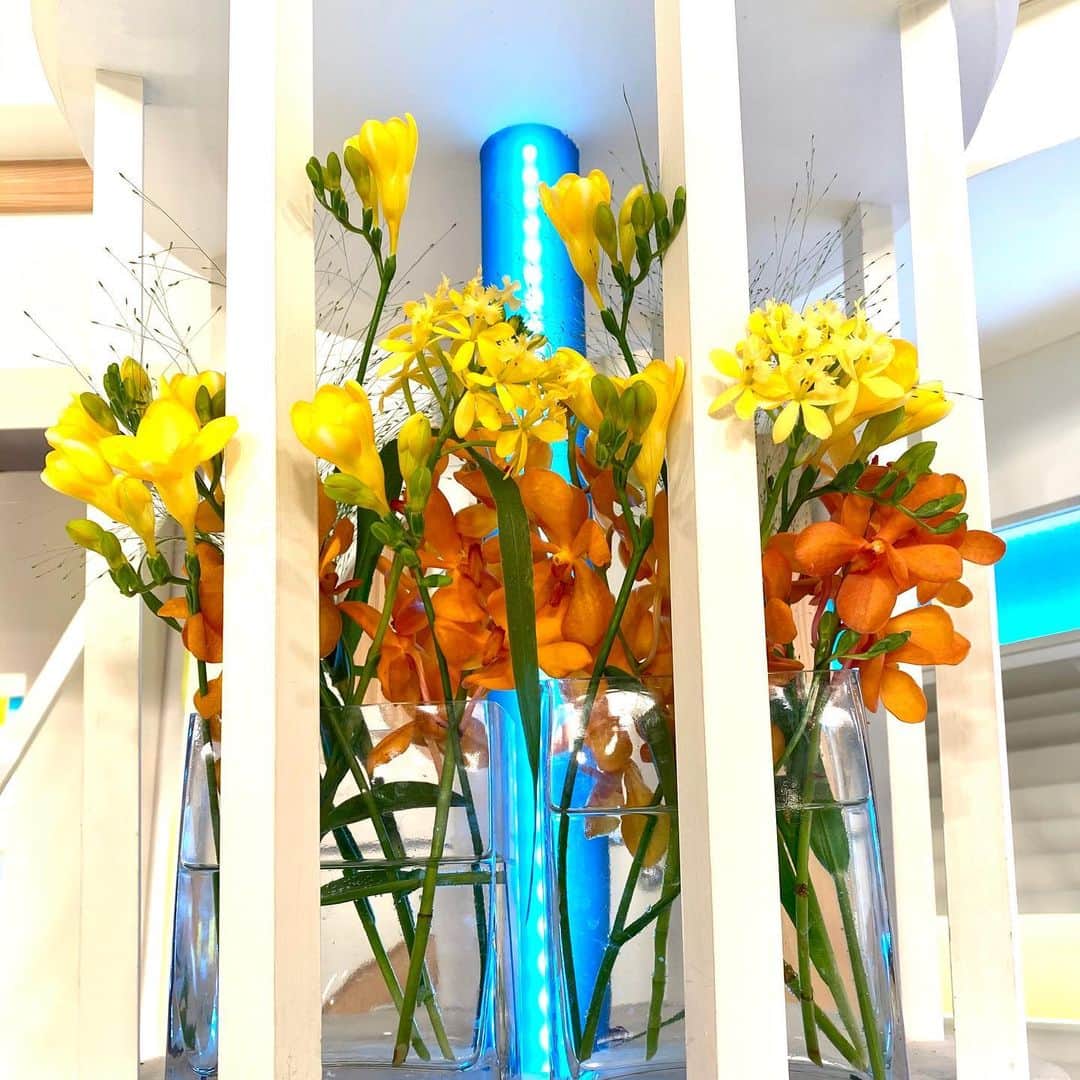 福岡放送「バリはやッ!」さんのインスタグラム写真 - (福岡放送「バリはやッ!」Instagram)「🌼1/20の週のお花🌼 "筑後川にもたくさん咲き誇る春の可愛いお花、菜の花。菜の花をあしらい、温かい温度の感じる色彩で寒空を吹き飛ばせるように制作しました。" by #takeshithemangrove  #菜の花 #タズの木 #アナスタシア #トルコキキョウ #モカラ #エピデンドラム #フリージア #ピンポンマム #スモークグラス  #花　#花が好き #花を飾る #花は咲く #春の花　#装花　#スタジオ装花　#フラワーアレンジメント　#ザマングローブ #バリはや」1月23日 18時44分 - barihaya