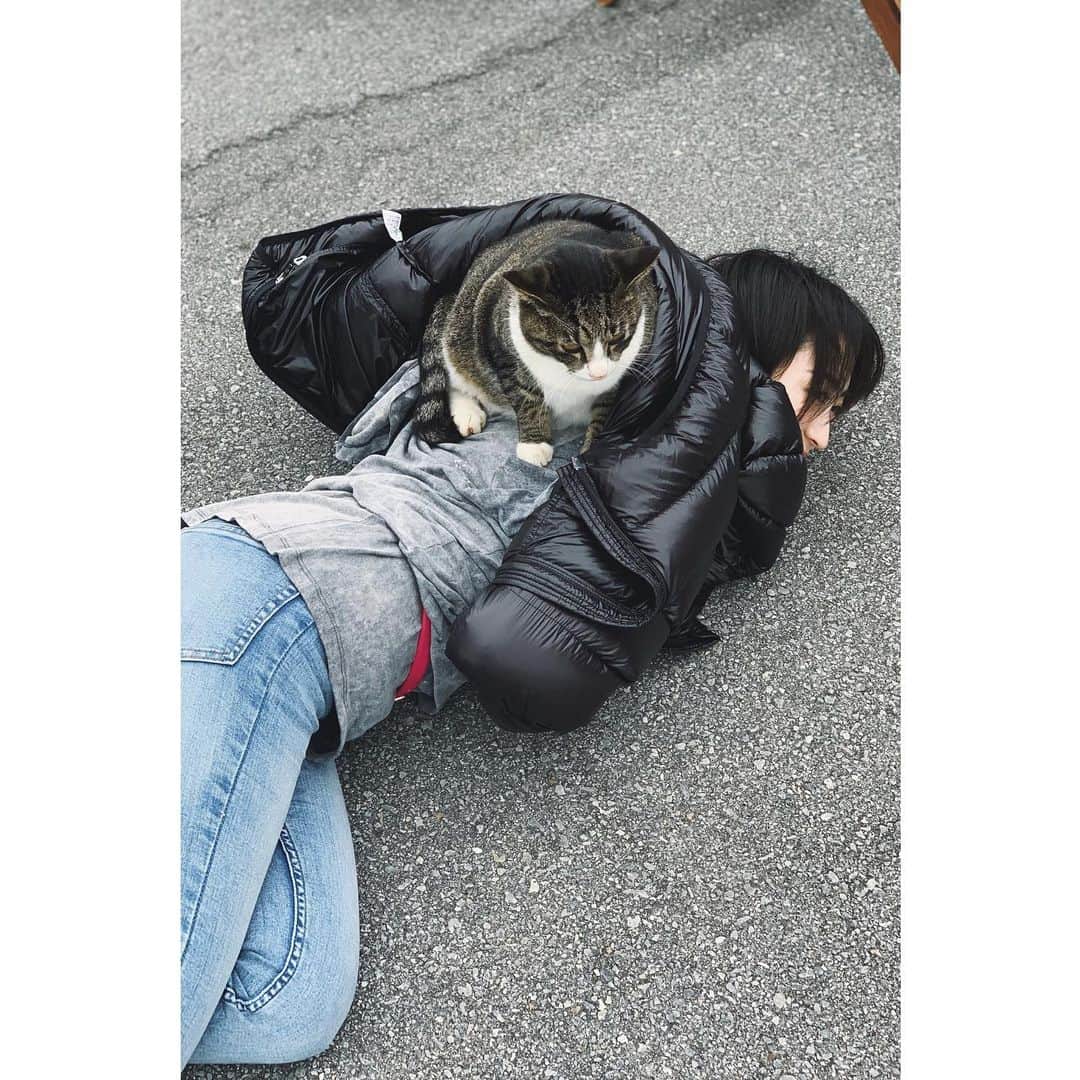 中里亜美さんのインスタグラム写真 - (中里亜美Instagram)「沖縄の猫は懐っこいよね。でもキミ、お尻にうんちついてたよネ… ─── #沖縄の猫 #一生どかない猫 #猫好き #なかざと_旅 #本日のお尻」1月23日 18時58分 - __ami__go__