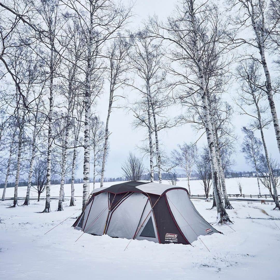 Coleman Japanのインスタグラム：「＼⛄️#雪中キャンプ に挑戦❗️／ ・ 四季の厳しい自然環境でも快適な空間でくつろげる、 コールマン最高峰フラッグシップモデル「マスターシリーズ」で冬キャンプを楽しもう。 ・ “フルスカート”が冷気をシャットアウト⚡  インナーテントの素材に“コットンポリエステル”を採用する事で、保温性にも優れています。 ・ 進化を遂げた2020年最新作をチェック！👈 ・ ・ ・ #灯そうColeman #灯そうコールマン #灯そう #Coleman #コールマン #Tent #テント #コールマンテント #Camp #キャンプ #Outdoor #アウトドア #ウェザーマスター #マスターシリーズ #秋冬キャンプ #冬キャンプ」