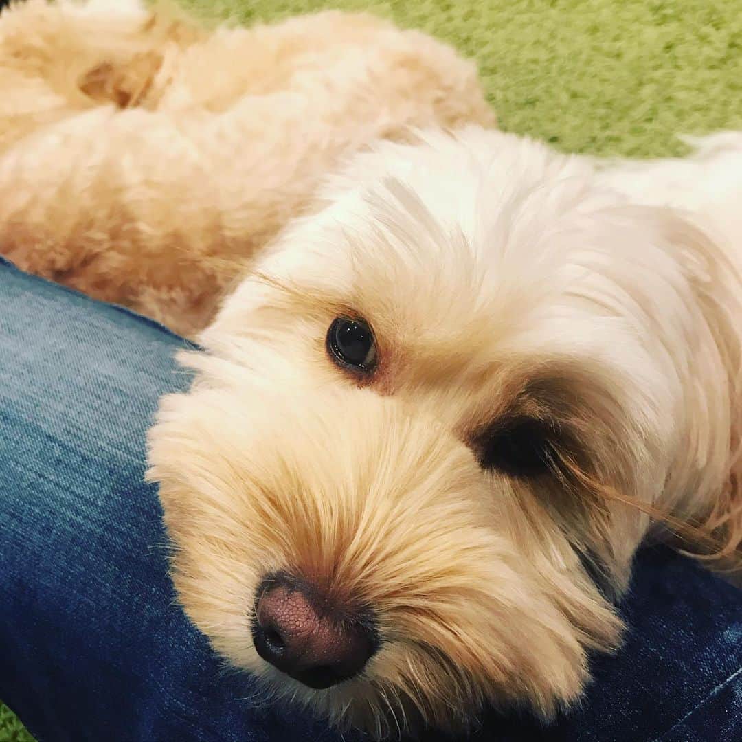 北山陽一のインスタグラム：「ぬくもり。#きたやまおもち #きたやまおかき」
