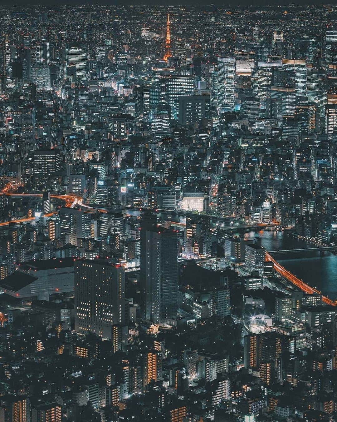 Berlin Tokyoのインスタグラム：「Tokyo glowing in the urban lights. . . . #hellofrom #tokyo #japan」