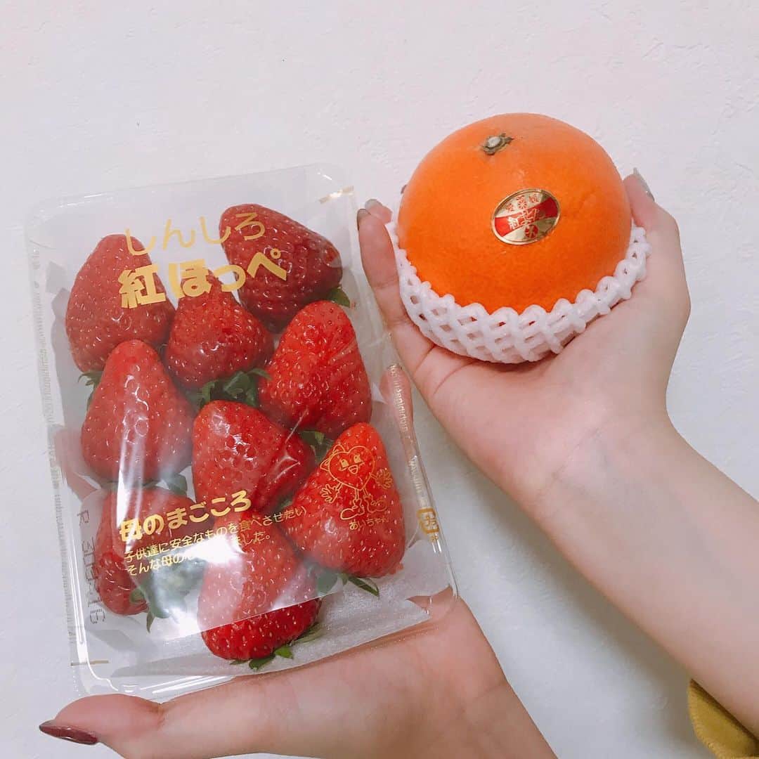 磯原杏華さんのインスタグラム写真 - (磯原杏華Instagram)「おばあちゃんが紅ほっぺと紅まどんなを送ってくれた〜❤️ 果物のある生活〜幸せ〜🍓🍊 . 紅ってつくとなんでも美味しそうだよね。魔法の漢字。 #紅まどんな #紅ほっぺ」1月23日 22時14分 - isoharakyoka_box