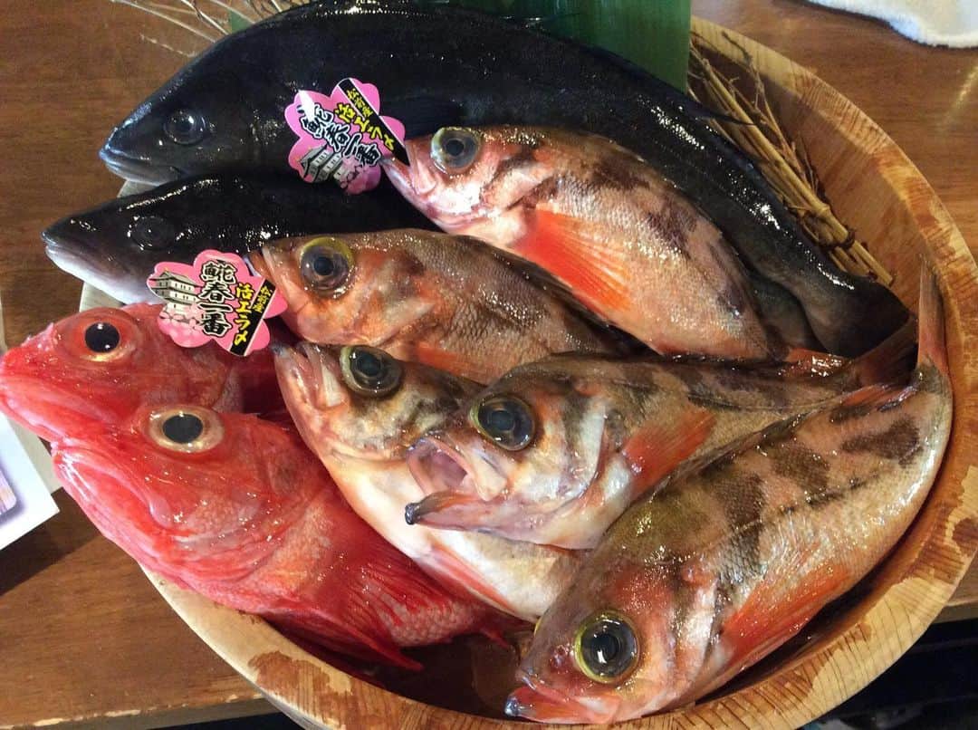 知床漁場 難波道頓堀店のグルメインスタ