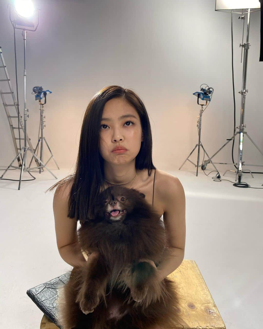 ジェニーさんのインスタグラム写真 - (ジェニーInstagram)「Kuma at shoot」1月23日 22時38分 - jennierubyjane