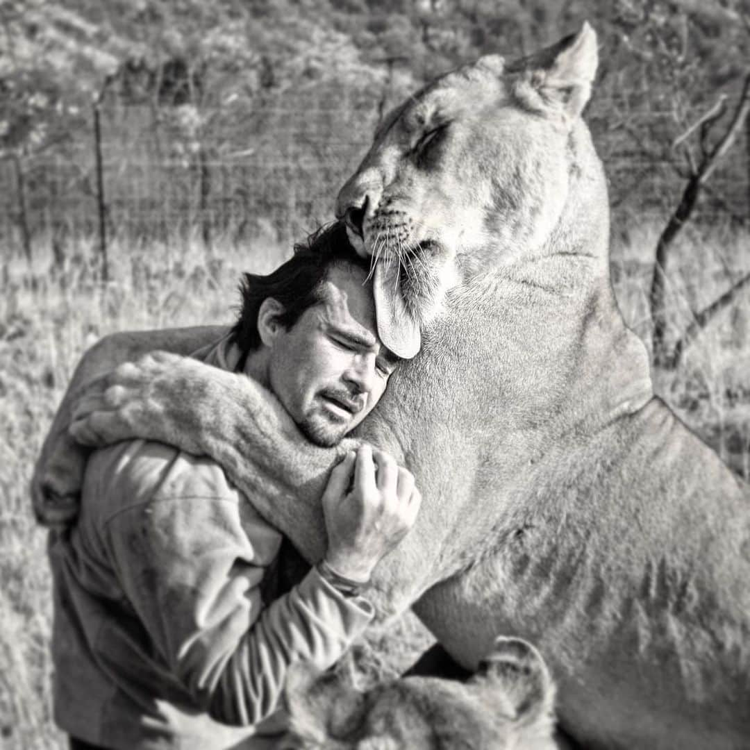 Kevin Richardson LionWhisperer のインスタグラム