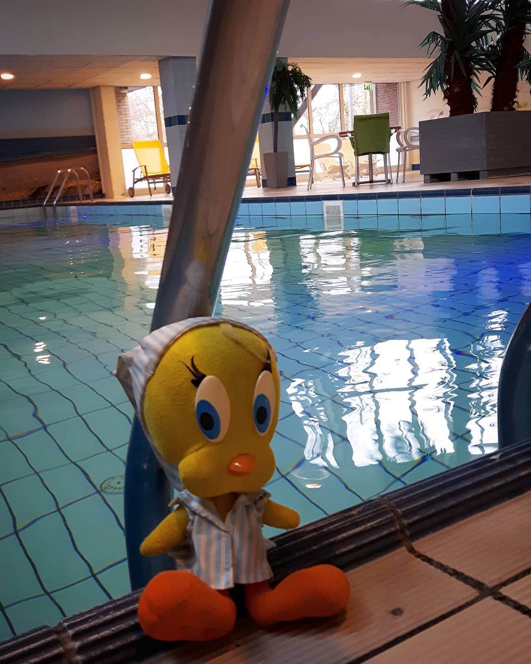 Little Yellow Birdさんのインスタグラム写真 - (Little Yellow BirdInstagram)「Enjoying the indoor pool at my accommodation! #littleyellowbird #tweety #tweetykweelapis #adventures #yellow #bird #thursday #holidays #schiermonnikoog #schier #netherlands #northsea #noordzee #waddeneiland #wadden #pool #indoorpool #landal #landalvitamaris #swimming #stuffedanimalsofinstagram #plushiesofinstagram」1月23日 22時50分 - tweetykweelapis