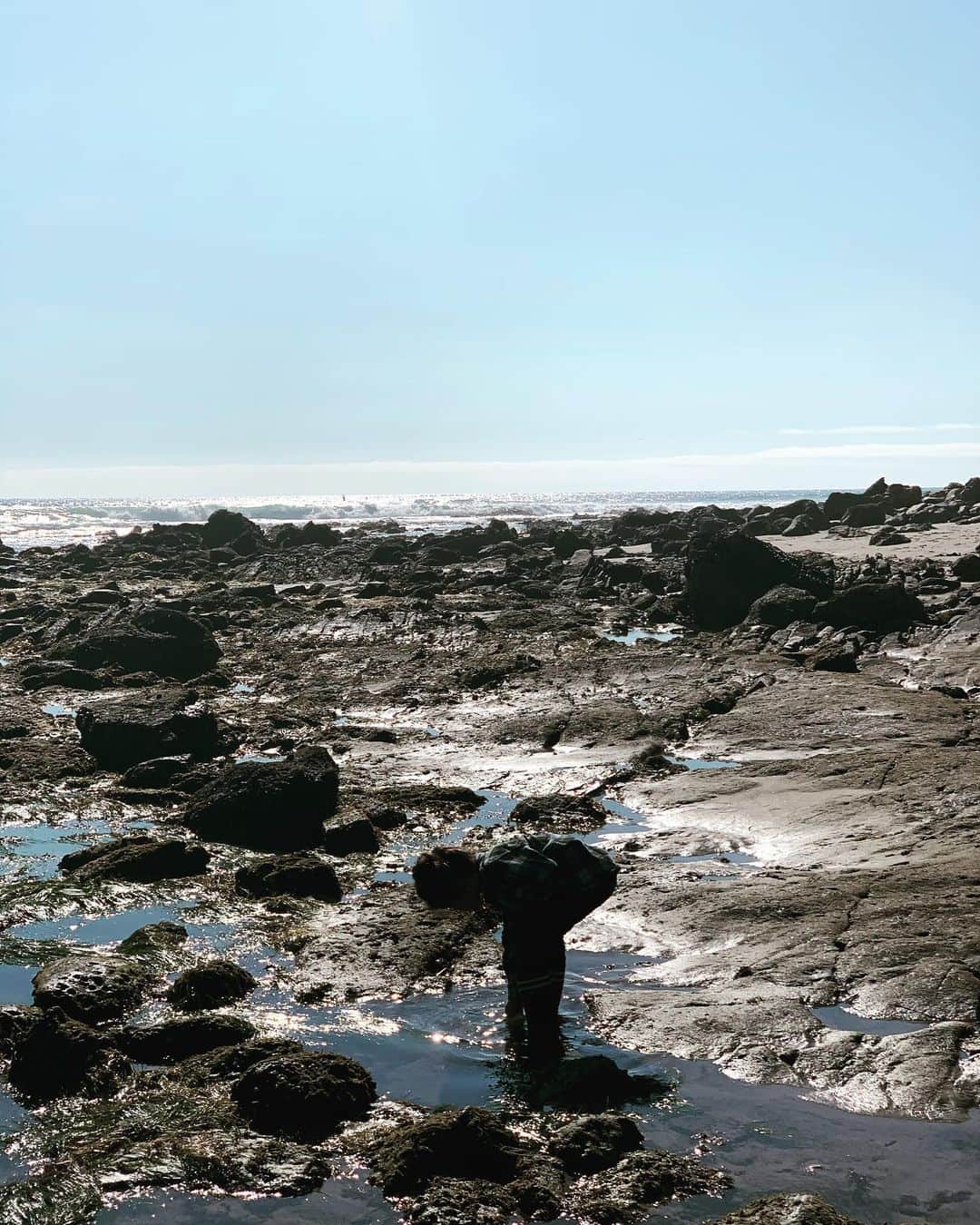 サーフバザーのインスタグラム：「Searching..... #tidepools #pacific #loe」