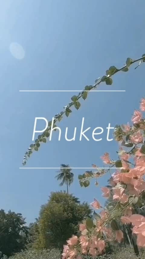 Miwakoのインスタグラム：「家族旅行プーケット GoProで子供と私が撮影したmovieを繋げてみた📸」