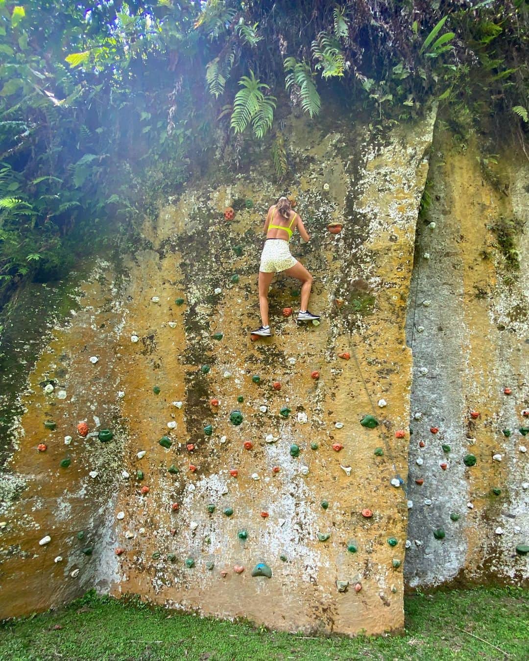 デビー・ライアンのインスタグラム：「🧗🏽‍♀️🎢🐒」