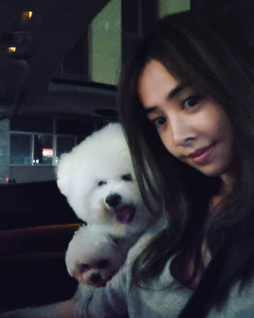 ジョリン・ツァイのインスタグラム：「開花 ❤❤❤ #孔雀開屏 #臉大的站前面 #drivingWithBears  @bichon_whoohoo」