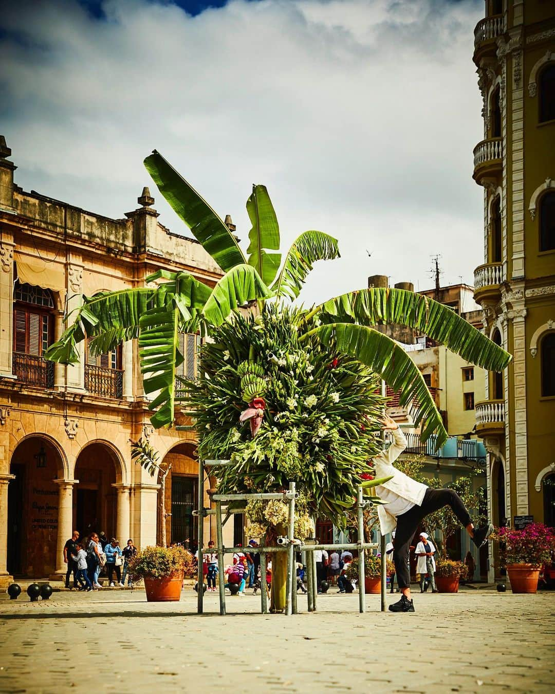 東信さんのインスタグラム写真 - (東信Instagram)「Botanical Sculpture in Cuba  Date: January 23 Thursday, 2020 Location: Plaza Vieja 23.136019,-82.349975 *Please insert this numbers to your Google map.  @azumamakoto @amkk_project @shiinokishunsuke  #azumamakoto #makotoazuma #shiinokishunsuke #amkk #amkkproject #flowers #flowerart #botanicalsculpture #東信 #東信花樹研究所 #cuba #HABANA #PlazaVieja」1月24日 11時41分 - azumamakoto