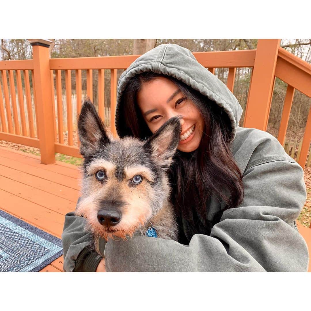 福山智可子のインスタグラム：「Good boy SAM 🐕  #doglover #sam #サムさん」