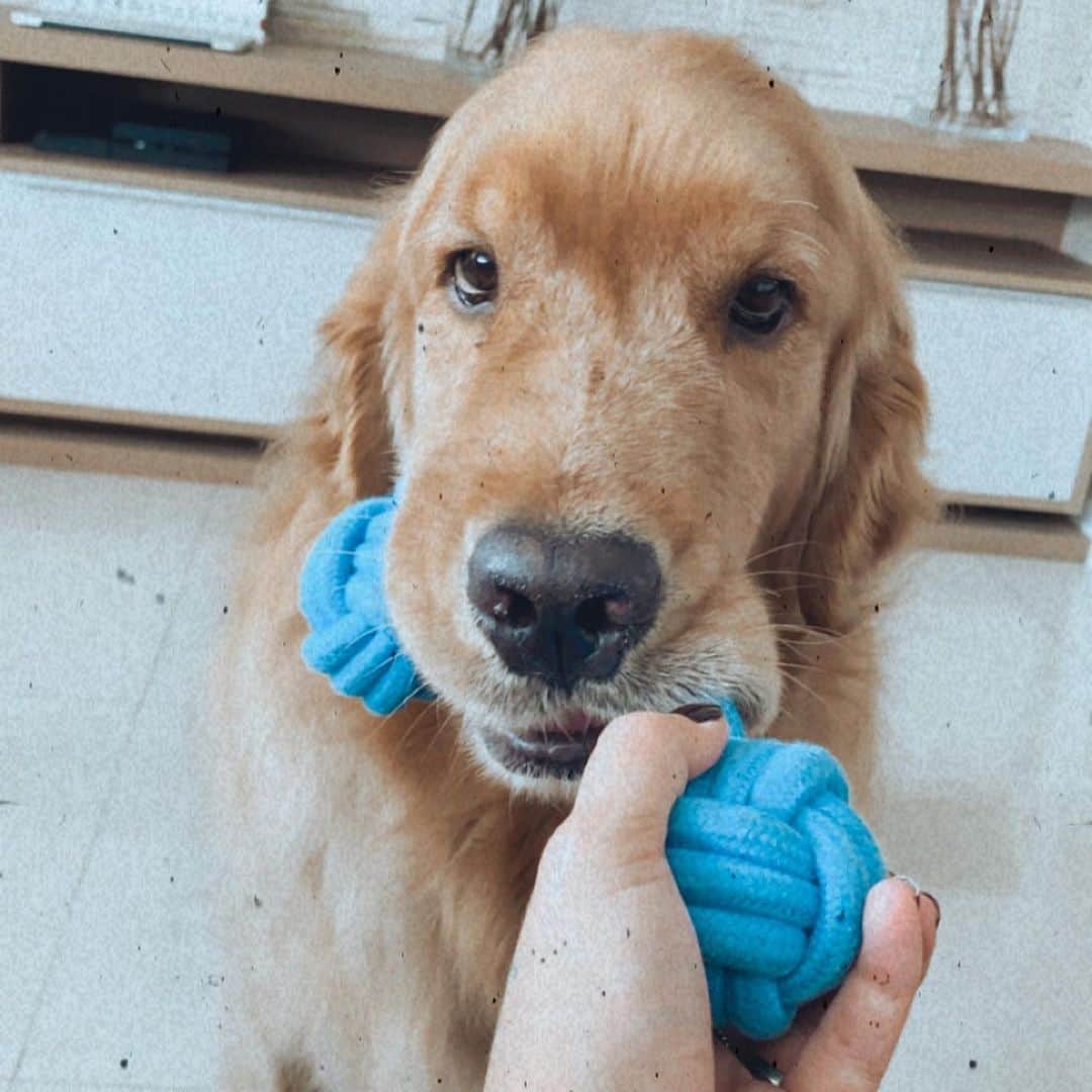 Bruna Unzuetaのインスタグラム：「oie 🤍💙」