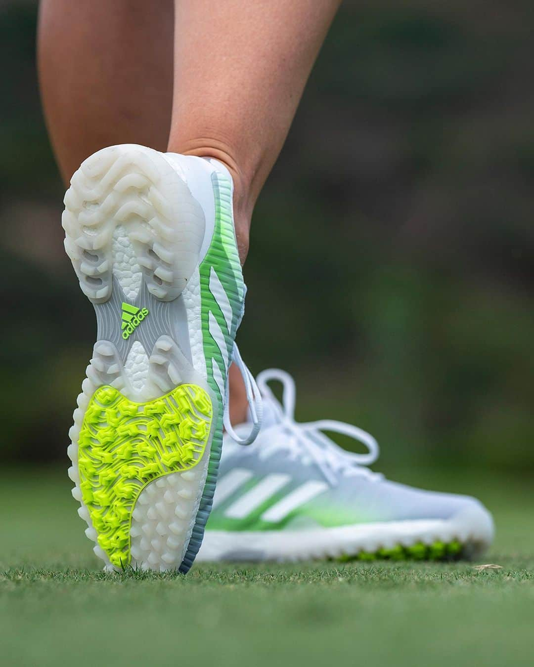 adidas Golfさんのインスタグラム写真 - (adidas GolfInstagram)「Create outside of convention. Imagine more possibilities of what a golf shoe can be in #CODECHAOS. Available January 31st. ➖ Discover styles for women, men, and kids at the link in bio. #adidasGolf #Golf」1月24日 3時42分 - adidasgolf