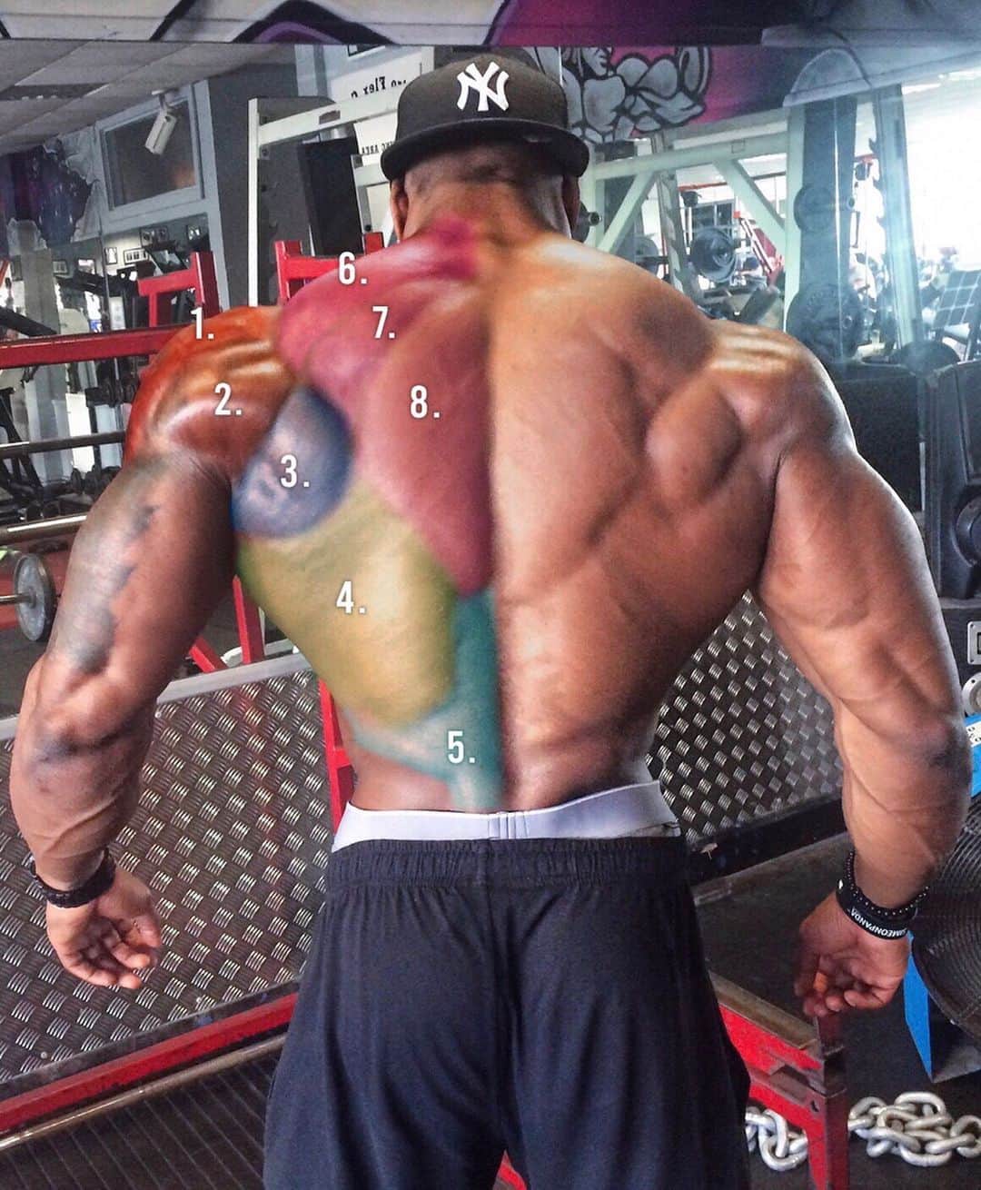 Simeon Pandaさんのインスタグラム写真 - (Simeon PandaInstagram)「8 exercises to 🎯 your back & shoulders⁣. Definitely Tag & Save for later! ⁣ ⁣ ℹ️ Refer to slide 2 to see the muscles being targeted in each video by number:⁣ ⁣ 🎥 3: Lateral Raise ⁣ Primary 🎯: (1) Medial Deltoids⁣ Secondary Muscles: (2) Posterior Deltoids⁣ (Also hits the anterior deltoid not shown)⁣ ⁣ 🎥 4: Military Press⁣ Primary 🎯: (1) Anterior & Medial Deltoids⁣ Secondary Muscles: Upper Chest⁣ ⁣ 🎥 5: Face Pulls & Shrugs Superset⁣ Primary 🎯: (3) Posterior Deltoids⁣ Secondary Muscles: (3, 6, 7 & 8)⁣ Infraspinatus, Teres Major & Minor, Trapezius.⁣ ⁣ 🎥 6: Single Arm Row⁣ Primary 🎯: (4) Latissimus Dorsi⁣ Secondary Muscles: (2, 3, 5, 6, 7 & 8)⁣ Trapezius, teres major and minor, posterior deltoids, infraspinatus⁣ ⁣ 🎥 7: Back 21’s High & Middle Row + Straight Arm Pulldown ⁣ Primary 🎯: (2, 3, 4, 6, 7 & 8) ⁣ Almost all back & Shoulder muscles. ⁣ ⁣ 🎥 8: Rear Delt Row⁣ Primary 🎯: (2) Posterior Deltoid⁣ Secondary Muscles: (3, 6, 7 & 8)⁣ Trapezius, teres major and minor, infraspinatus.⁣ ⁣ 🎥 9: Seated Rope Pulldown⁣ Primary 🎯: (4) Latissimus Dorsi⁣ Secondary Muscles: (3) Teres major and minor, infraspinatus.⁣ ⁣ 🎥 10: Dumbbell Stiff-Legged Deadlift⁣ Primary 🎯: (5) Erector Spinae & Hamstrings⁣ ⁣ For FREE diet tips and training routines, or to download programs 📲 Visit my website: SIMEONPANDA.COM⁣⁣⁣ ⁣ ⁣ 🎥 I want to help you train! Visit my YouTube Channel: YouTube.com/simeonpanda⁣ ⁣ 💊 Follow @innosupps ⚡️ for the supplements I use👌🏾⁣⁣⁣ ⁣ #simeonpanda #backworkout #shouldersworkout #backexercises #shouldersexercises」1月24日 4時06分 - simeonpanda