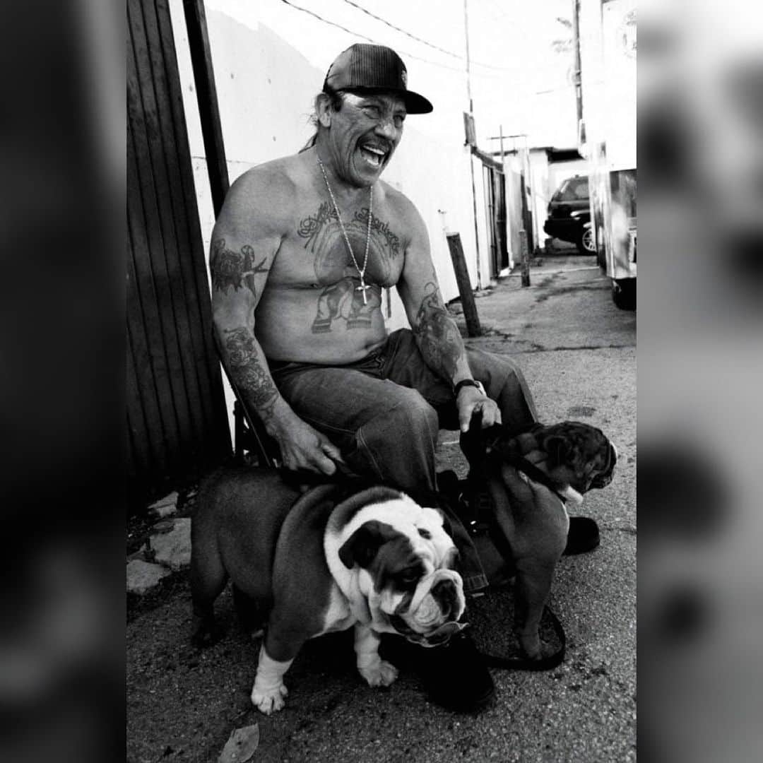 ダニー・トレホさんのインスタグラム写真 - (ダニー・トレホInstagram)「#WorldSpayDay . . . #bestfriends #pets #machete #dogs #danntrejo」1月24日 6時47分 - officialdannytrejo