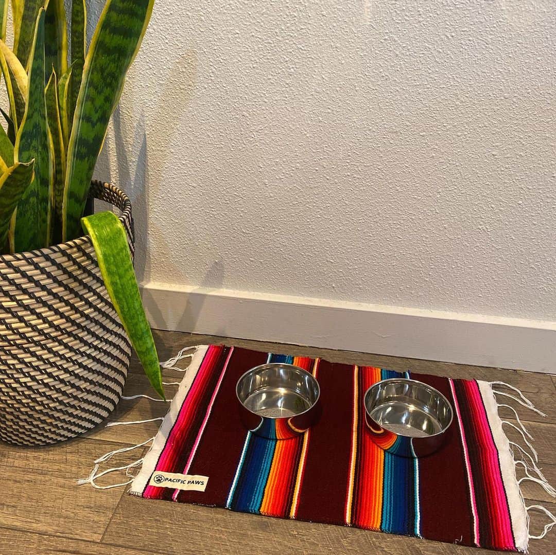 Dogs by Ginaのインスタグラム：「New in shop!  Serape placemats. So cool! And they’re only $14 bucks! Grab em before they go!」
